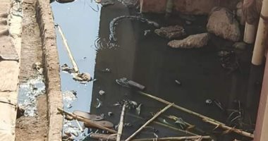 شكوى من انتشار الصرف الصحى بقرية شلقام بالمنيا