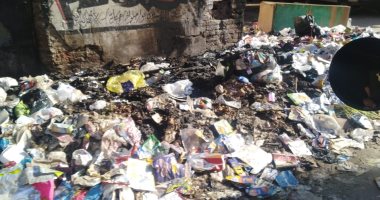 صور.. القمامة تحاصر مدرسة محمد كريم بمنطقة المطرية