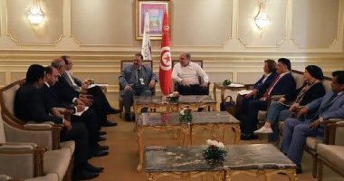بعثة الجامعة العربية تصل تونس لمتابعة الجولة الثانية من انتخابات الرئاسة 