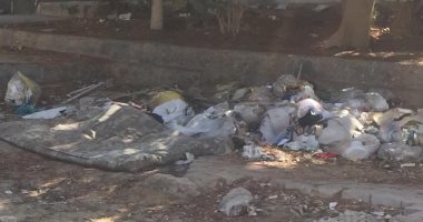قارئ يشكو من انتشار القمامة بالحى الحادى عشر فى 6 أكتوبر