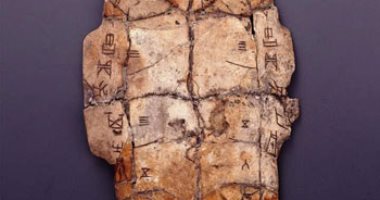 إقامة معرض بالصين للاحتفال بالذكرى الـ120 لاكتشاف أقدم نقوش على العظام