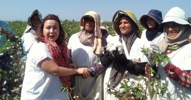 مزارعات كفر الشيخ يستقبلن بالزغاريد وفد "اليونيدو" لإنتاج قطن أفضل (صور)