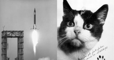 فى مثل هذا اليوم .. "فليسيت" تصبح أول قطة تطير فى الفضاء