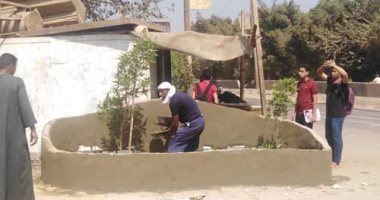 قارئ يشارك صور تنظيف وتشجير مدخل قرية الضبعى بالعياط بالجهود الذاتية