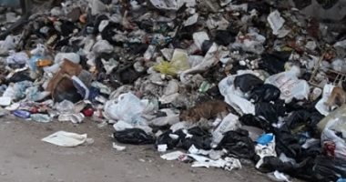 قارئ يشكو انتشار القمامة بجوار مركز شباب عين شمس المطرية