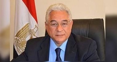 مساعد وزير الخارجية الأسبق: مصر حققت توازنا بين الاستقرار الأمنى وتحقيق التنمية