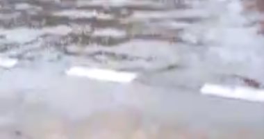 قارئ يشارك بفيديو لمياه الأمطار بمنطقة جسر السويس اتجاه نادى الشمس 