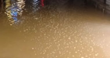 صور.. غرق مدينة شبين القناطر بالمياه نتيجة سقوط الأمطار