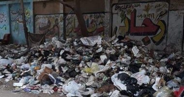 شكوى من انتشار القمامة بشارع عزت باشا في عين شمس 
