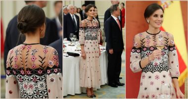 بفستان شيفون رقيق.. ملكة إسبانيا تشارك في مأدبة عشاء كورية.. صور 