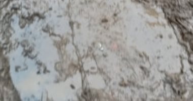 قارئ يطالب بتنظيف بلاعات صرف الأمطار بمدينة شبين القناطر بمحافظة القليوبية