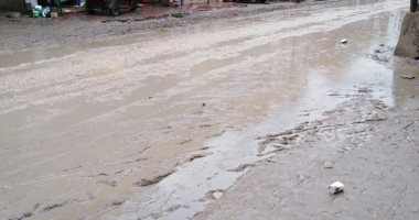 قارئ يشكو من تراكم مياه الأمطار بقرية شنو بكفر الشيخ 