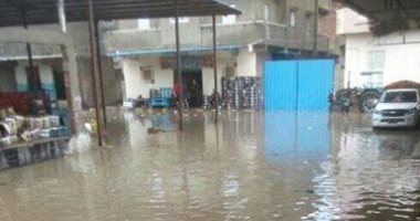 قارئ يشكو من تراكم مياه الامطار بمدينه ادكو محافظة البحيرة