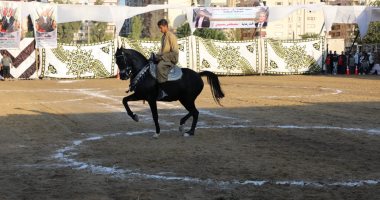 صور.. محافـظ المنوفية يشهد ختام فعاليات المهرجان الثانى للخيول العربية