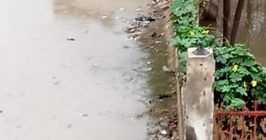 قارئ يشكو من انتشار مياه الصرف الصحى بقرية الغنيمى مركز قلين كفر الشيخ