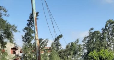 قارئ يشكو من قطع أسلاك الكهرباء بقرية المستعمرة الغربية بالدقهلية
