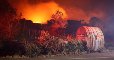 صور.. حاكم كاليفورنيا يعلن حالة الطوارئ بسبب انتشار حرائق الغابات