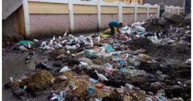 أهالى «الحمامية» مركز دمنهور يشكون انتشار القمامة والمخلفات بمدخل القرية