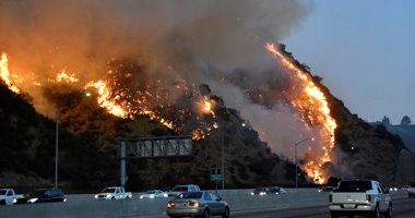 فيديو وصور .. حريق "آبل" في كاليفورنيا يدمر 4000 فدان والسلطات.. واحتواؤه بنسبة 0%
