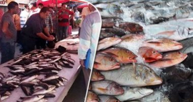 اعرف أسعار السمك بسوق العبور للجملة قبل أسبوع من رمضان