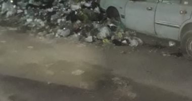 استمرار شكاوى المواطنين بسبب تراكم القمامة بشارع عزت باشا بالمطرية