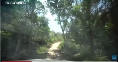 عصابات قطع الأشجار بالبرازيل تقتل حارسا من سكان الأمازون الأصليين