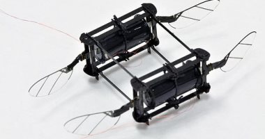ابتكار روبوت نحلة بعضلات صناعية تسمح لها بالاصطدام دون ضرر