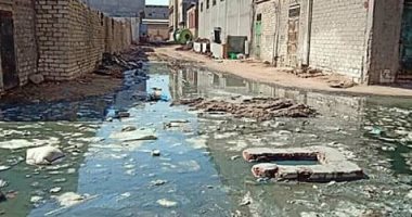 شكوى من انتشار مياه الصرف الصحى بنجع عبد الرواف الإسكندرية