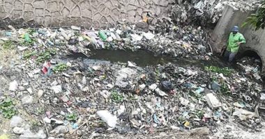 قارئ يشكو من انتشار القمامة والأوبئة فى قرية الكفر الجديد بالبحيرة