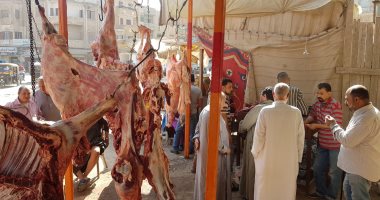 "إرضاء المستهلك" مبادرة لتوفير اللحوم بأسعار مخفضة بمدن كفر الشيخ