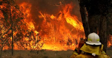  رجال الإطفاء يكافحون لإخماد مئات من حرائق الغابات فى أستراليا 