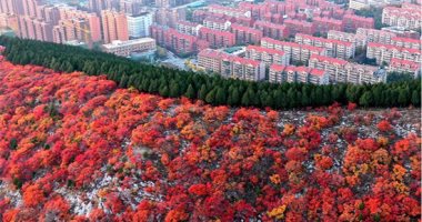 مناظر طبيعية للخريف فوق جبال "شيه تسى" فى الصين 