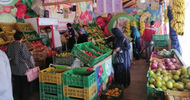 صور.. تعرف على أسعار الخضروات والفواكه والبقوليات بأسواق محافظة الغربية