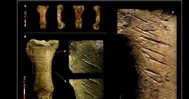 اكتشاف أثرى جديد..شعوب النياندرتال صنعوا المجوهرات والحلى قبل 40 ألف سنة