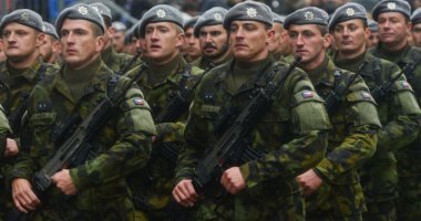 التشيك توافق على نشر قوات الجيش فى العمليات الخارجية حتى عام 2024