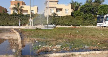 قارئ يشكو من إهدار المياه بالقاهرة الجديدة ..صور