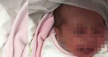 العثور على طفل حديث الولادة ملقى بالزراعات بطريق كلية الهندسة بطنطا