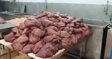  ضبط 35 طن أغذية فاسدة داخل مصنع لحوم بالعاشر من رمضان