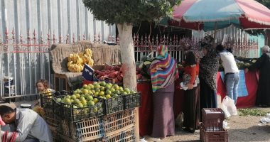 تعرف على أسعار الخضروات والفواكه والبقوليات بأسواق محافظة الغربية
