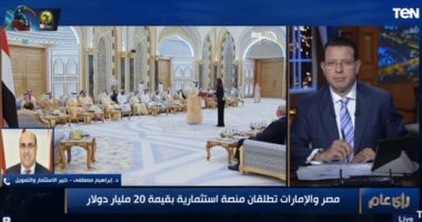 فيديو.. خبير اقتصادي يكشف أهمية الشراكة الاستثمارية بين القاهرة وأبو ظبي