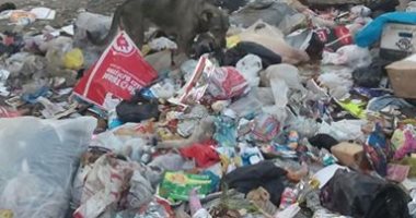 قارئ يشكو انتشار القمامة بجوار المحور فى منطقة أرض اللواء 