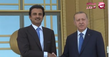 نائبة إيطالية سابقة: التعاون بين قطر وتركيا شيء خطير جدًا على إيطاليا ومستقبلها
