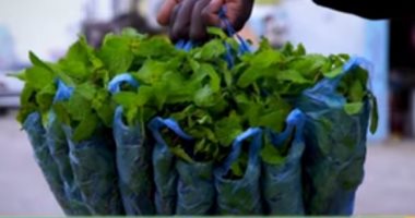 فيديو.. موريتانيا الأكثر استهلاكا للشاى الأخضر فى العالم