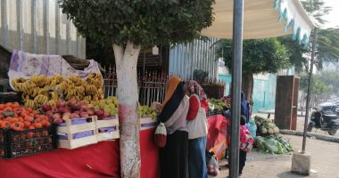 تعرف على أسعار الخضروات والفاكهة والبقوليات بأسواق محافظة الغربية