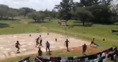 القردة تهاجم طلاب يلعبون كرة السلة...فيديو