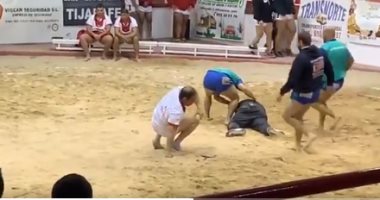 فيديو.. حكم يتعرض للضرب خلال مباراة مصارعة بإسبانيا