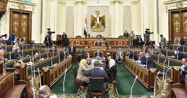 نائب: مصر تتحول للرقمنة والقضاء على الروتين بالجهاز الإدارى للدولة