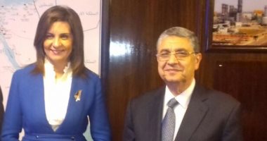 وزيرا الهجرة والكهرباء يعلنان فتح باب الإجازات للمصريين العاملين بالخارج 