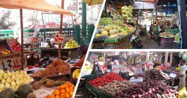 التصديرى للصناعات الغذائية: مصر الأولى عالميا فى تصدير الفراولة المجمدة