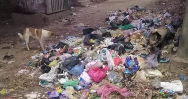 قارئ يشكو من تراكم القمامة بقرية بهناى بالباجور محافظة المنوفية